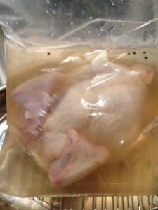 Chicken brining in a plastic bag.