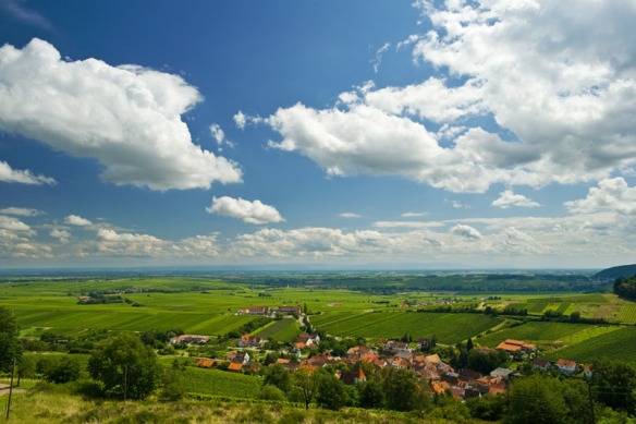 God's country, and home to some outstanding Rieslings. (Photo courtesy Germany.travel.com)